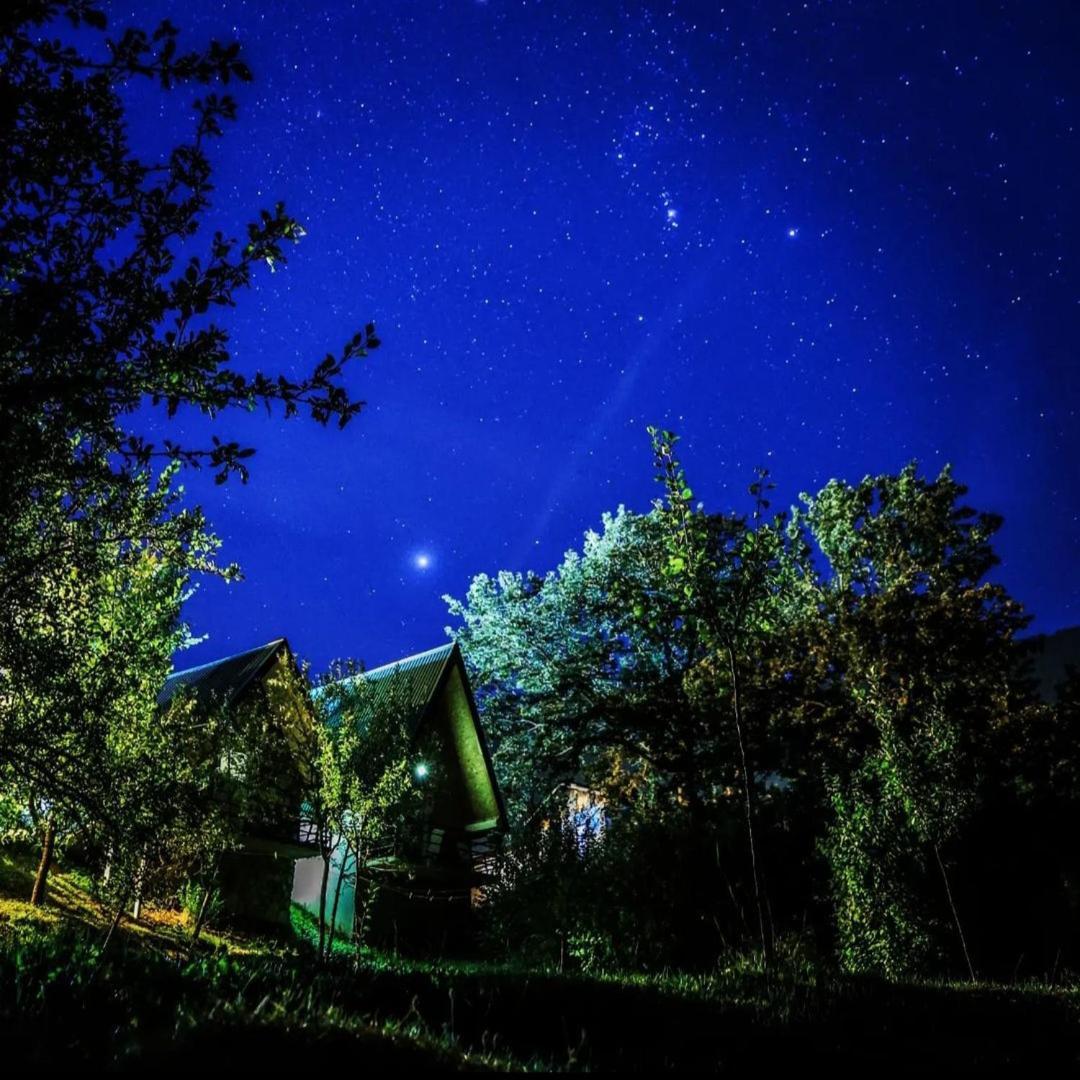 B&B Konak Plužine Dış mekan fotoğraf